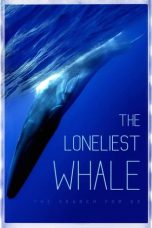 Nonton film The Loneliest Whale: The Search for 52 (2021)